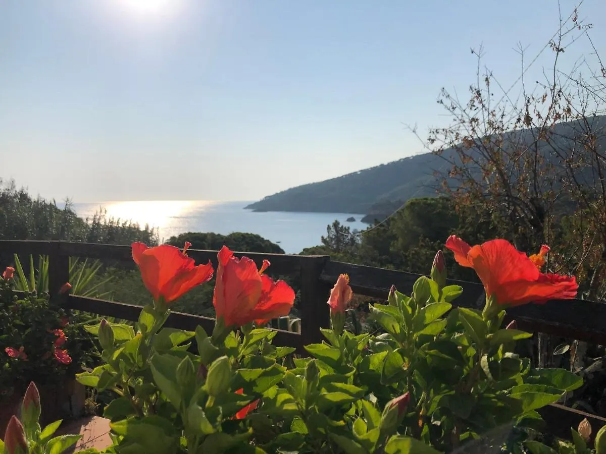 Case Dei Limoni Sul Mare Capoliveri  Capoliveri (Isola d'Elba)