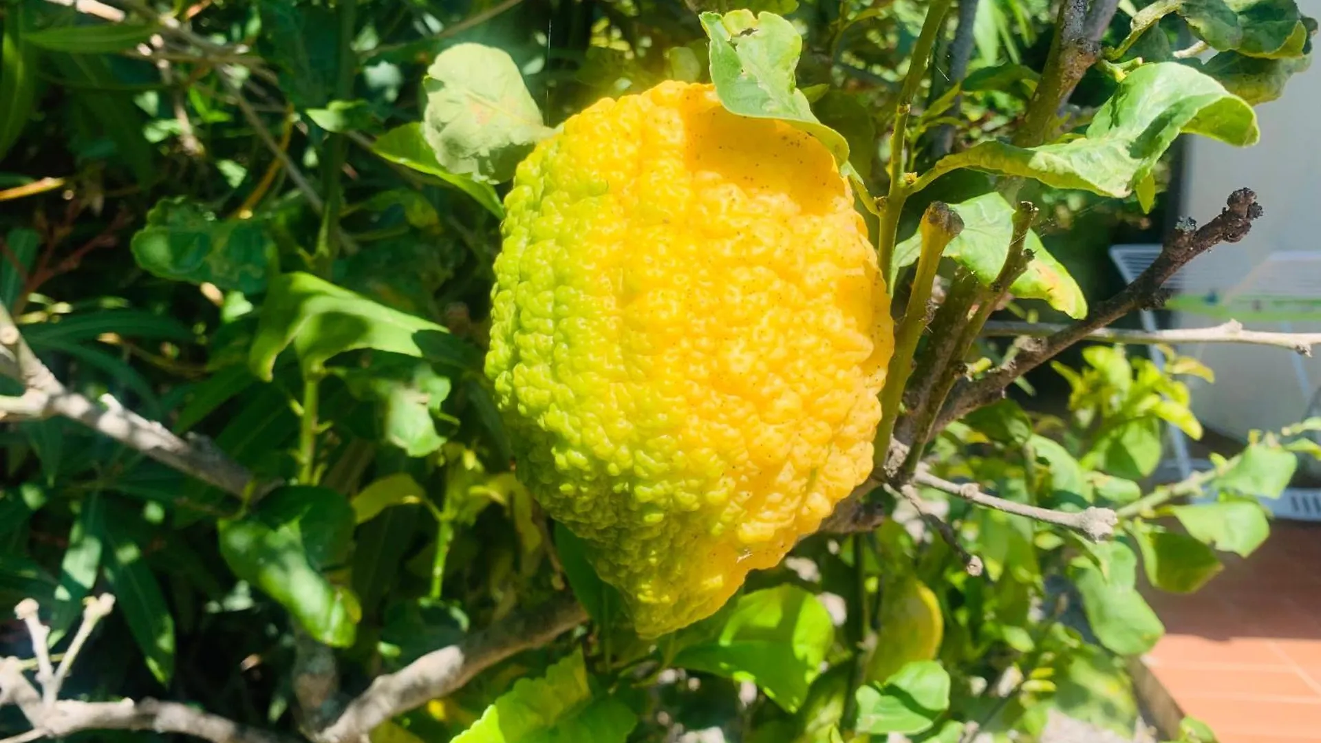 Case Dei Limoni Sul Mare Capoliveri  0*, Capoliveri (Isola d'Elba) Italy