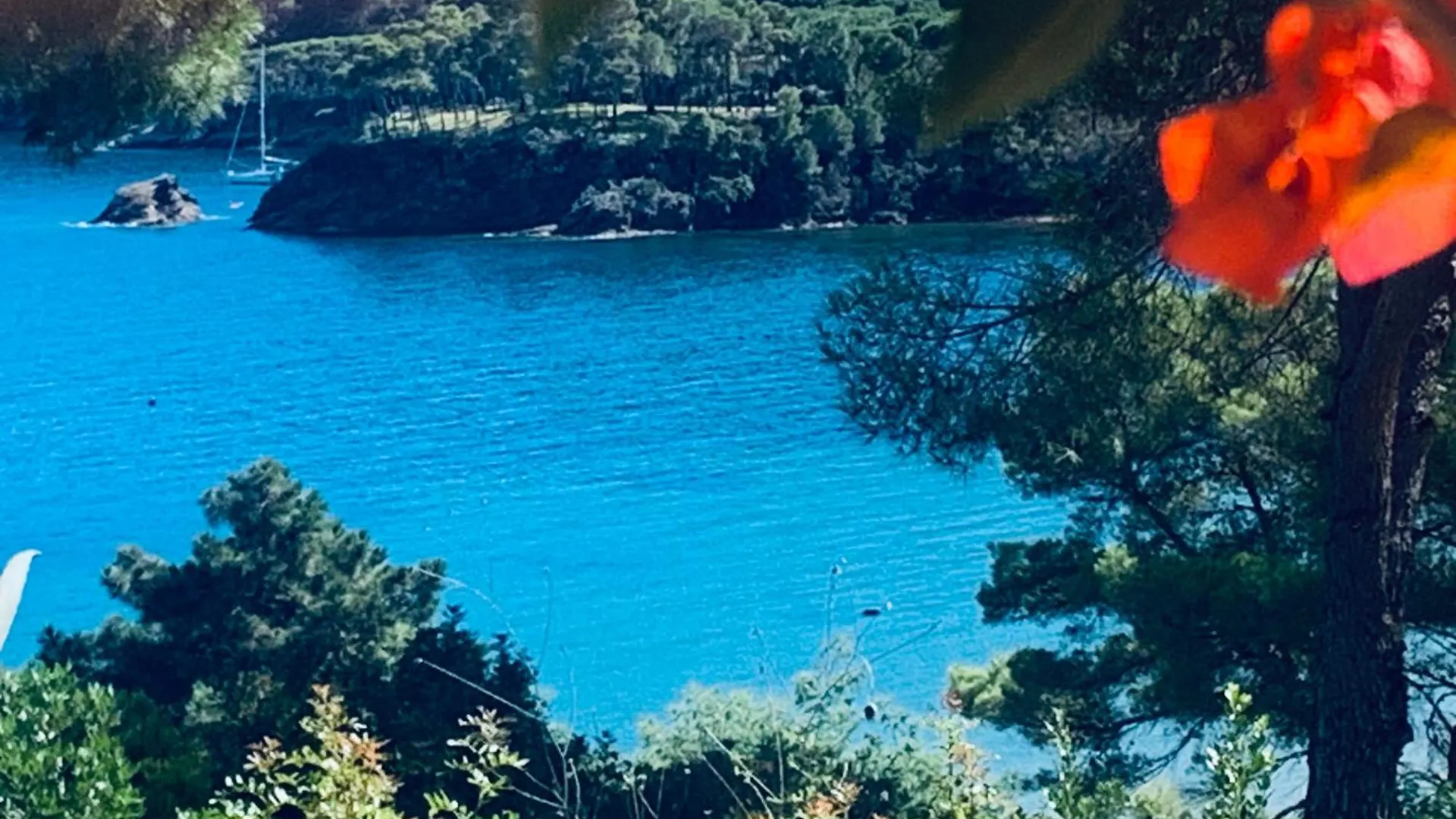 Case Dei Limoni Sul Mare Capoliveri