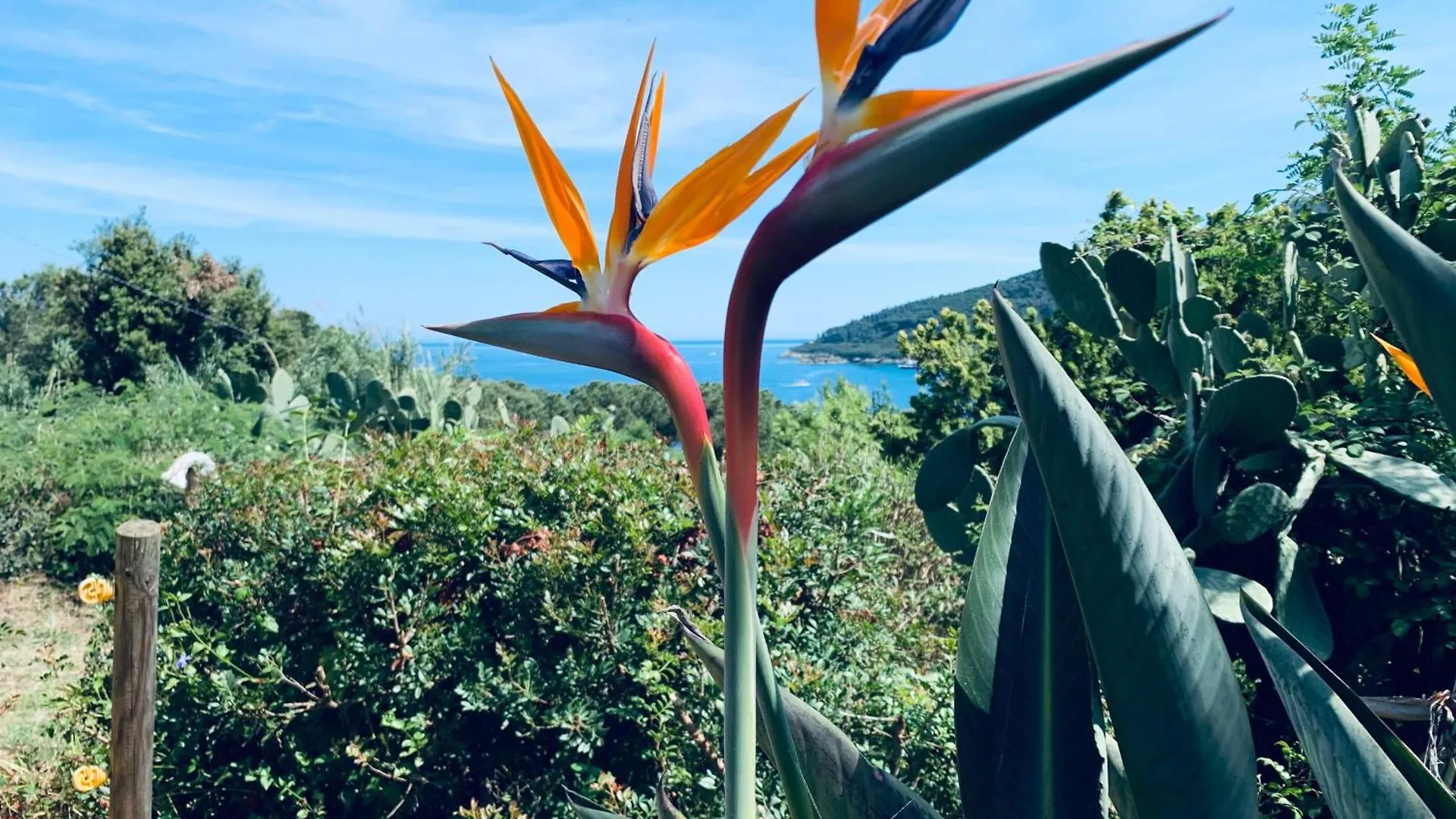 Case Dei Limoni Sul Mare Capoliveri  0*, Capoliveri (Isola d'Elba)