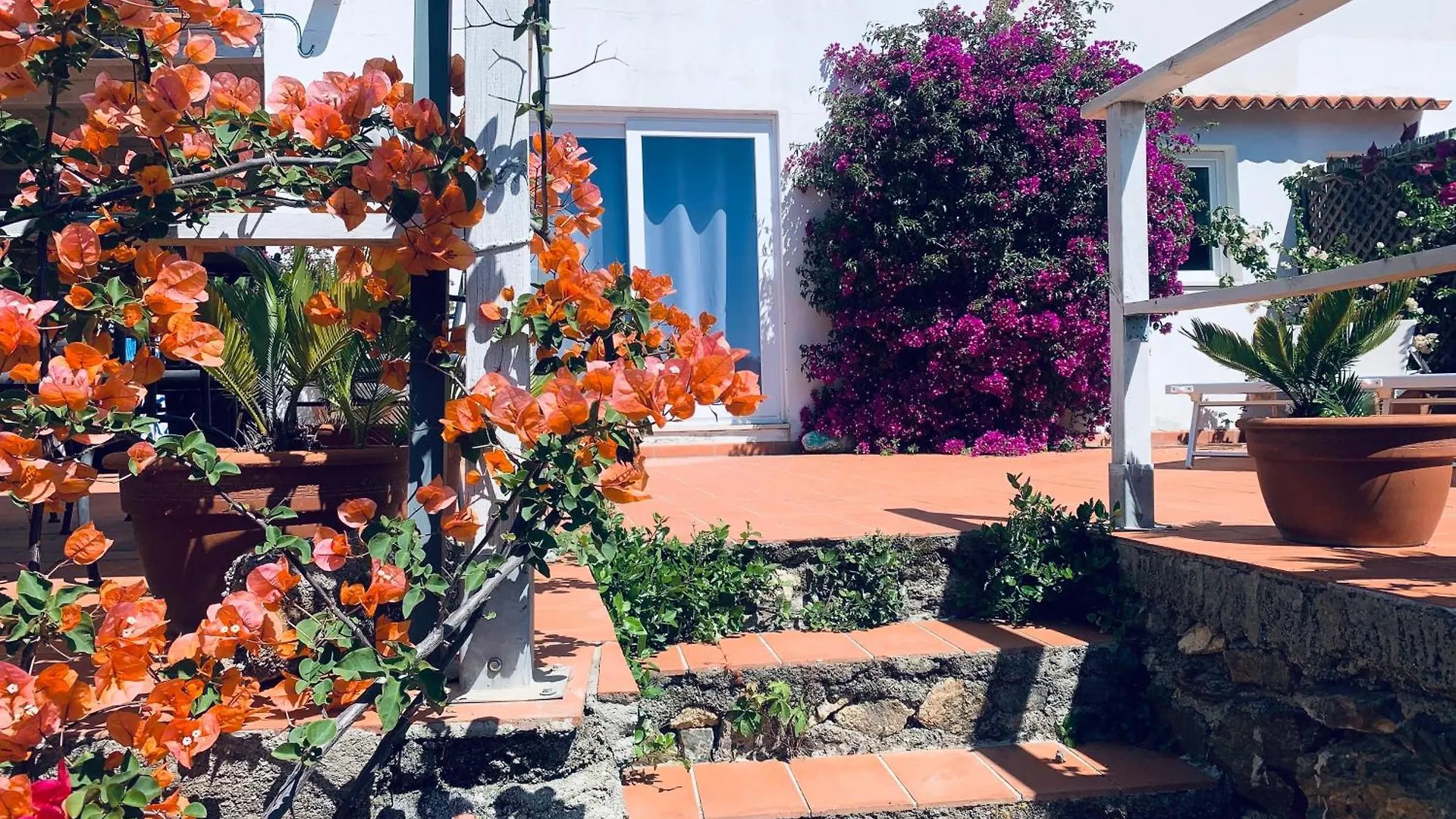 Case Dei Limoni Sul Mare Capoliveri  Ferienhaus Capoliveri (Isola d'Elba)