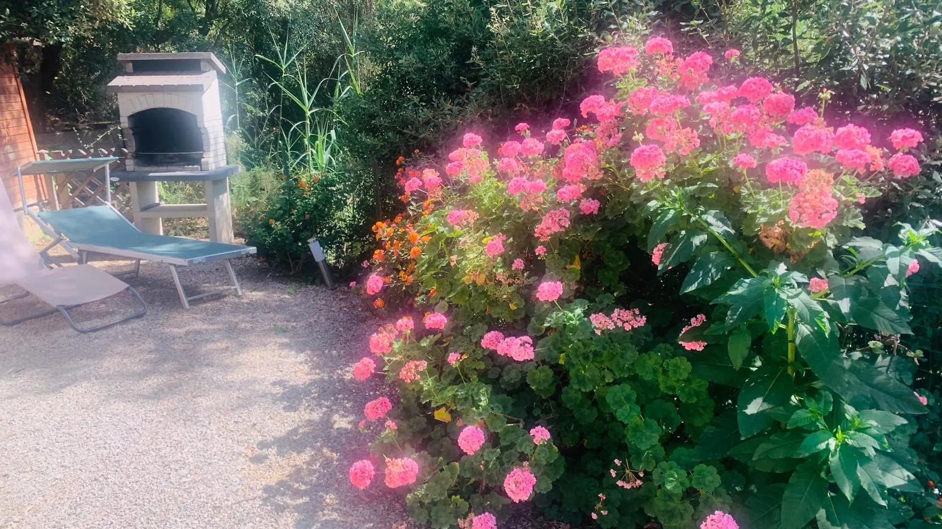 Tatil Evi Case Dei Limoni Sul Mare Capoliveri  İtalya