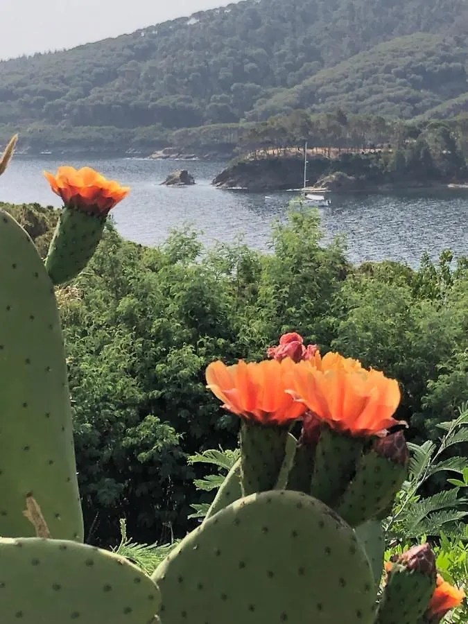 Case Dei Limoni Sul Mare Capoliveri  Italy
