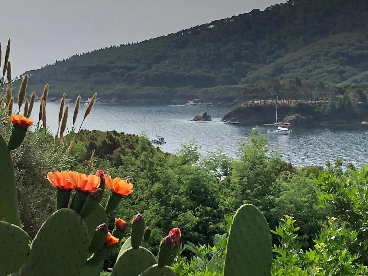 Case Dei Limoni Sul Mare Capoliveri  Capoliveri (Isola d'Elba)