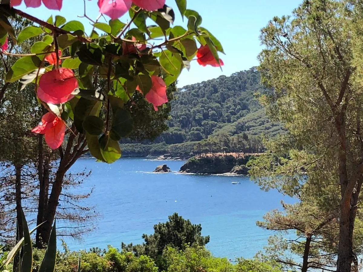 Case Dei Limoni Sul Mare Capoliveri