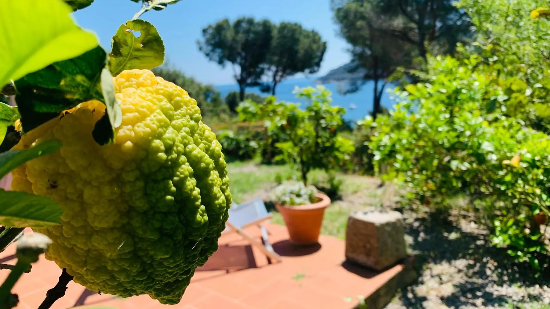 Holiday home Case Dei Limoni Sul Mare Capoliveri