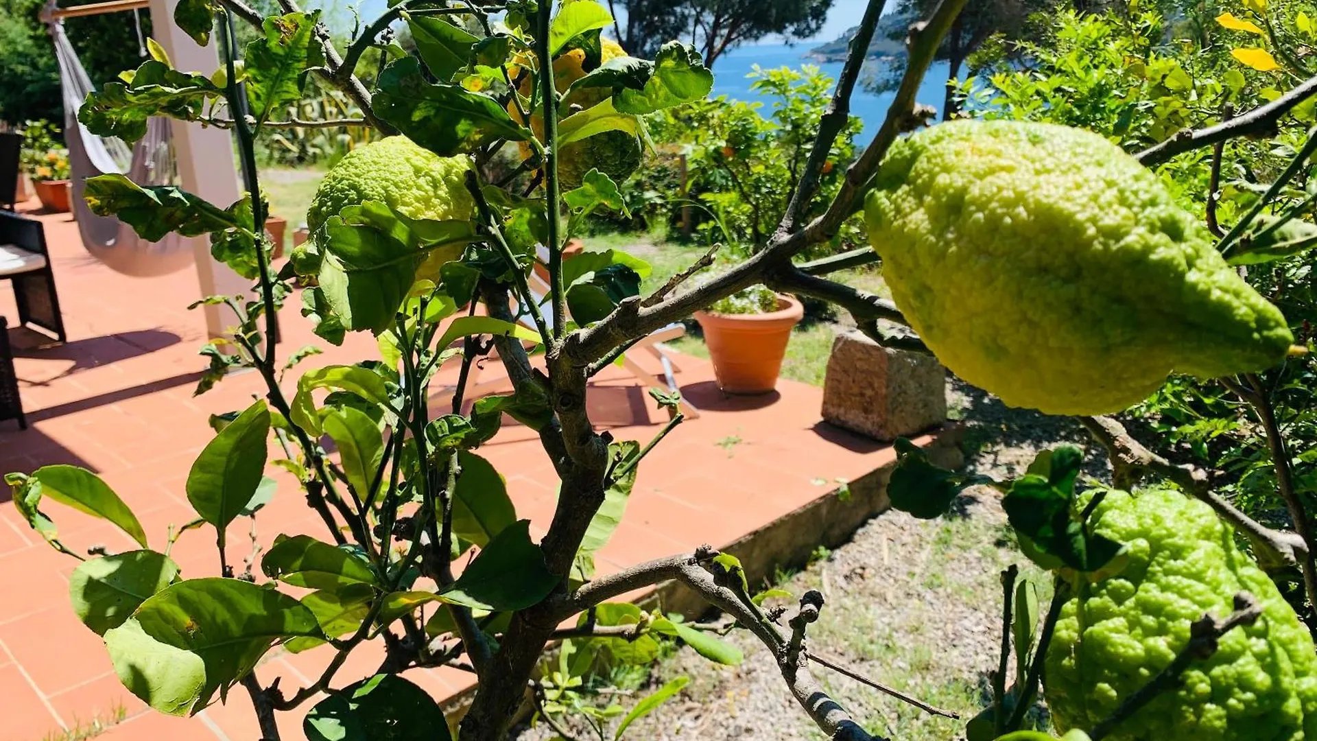 Case Dei Limoni Sul Mare Capoliveri  Italy