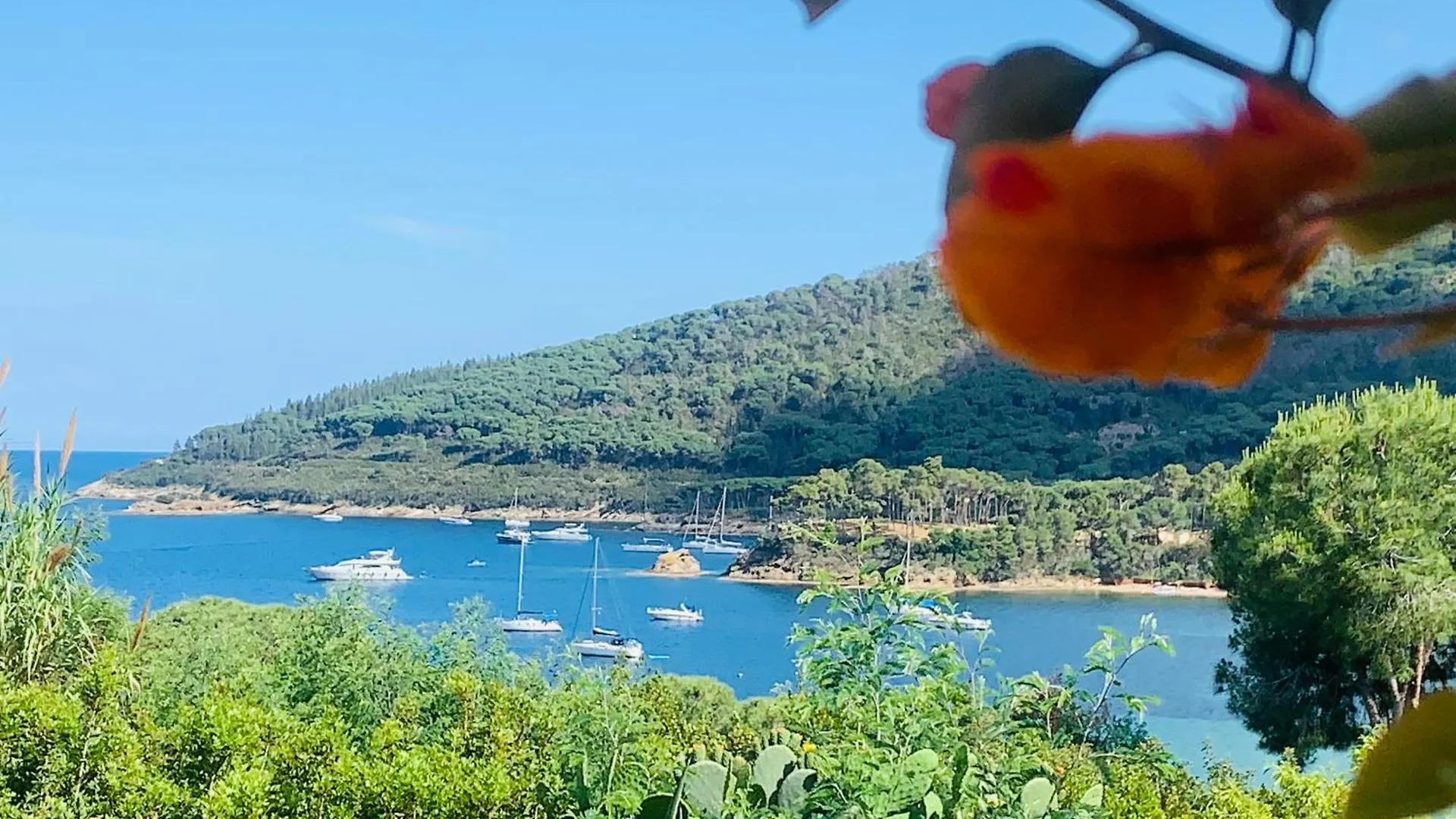 Holiday home Case Dei Limoni Sul Mare Capoliveri  Italy